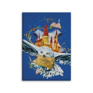 Harry Potter Hedwig Fleece Throw Blanket