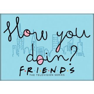 Friends How You Doin 3.5 x 2.5 inch Photo Magnet