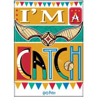 Harry Potter Snitch I'm A Catch Illustrated 3.5 x 2.5 Magnet 
