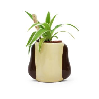 Wallace and Gromit - Gromit Plant Pot