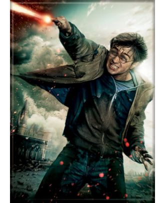 Harry Potter Harry With Wand 2 1/2 in. x 3 1/2 in Magnet 