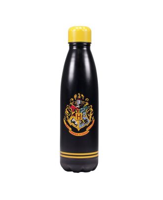 Harry Potter Hogwarts Metal Water Bottle