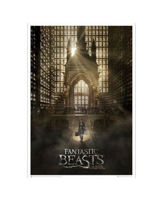 Fantastic Beasts and Where to Find Them: Magical Congress Art Print