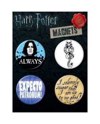 Harry Potter House Round Magnet Set