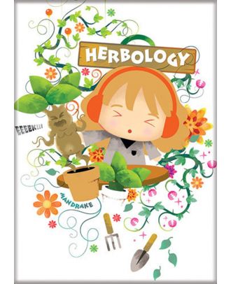 Harry Potter Charms 2 Herbology 3x2 Magnet 