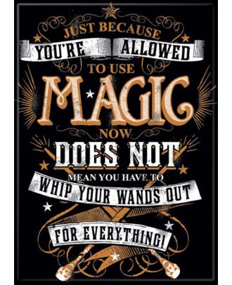 Harry Potter Just because you are allowed to use magic does not mean you have to whip your wands out for everything 3x2 magnet