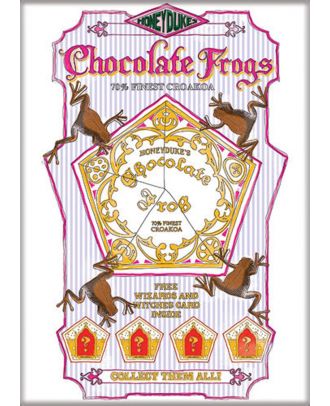  Harry Potter Chocolate Frogs 3.5 x 2.5 Magnet 