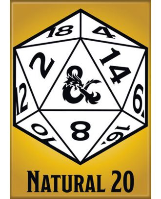 Dungeons and Dragons Natural 20 3.5 x 2.5 Magnet