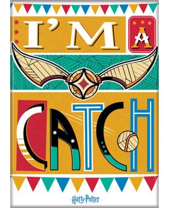 Harry Potter Snitch I'm A Catch Illustrated 3.5 x 2.5 Magnet 