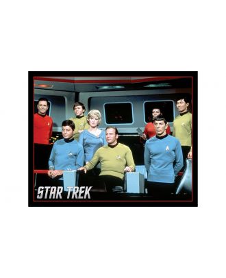 Star Trek Classic Crew on Bridge 16 x 20 Poster