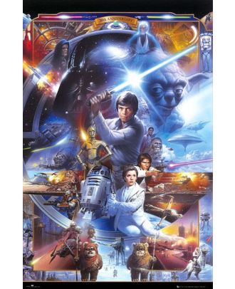 Star Wars - 30th Anniversary 24x36 Poster